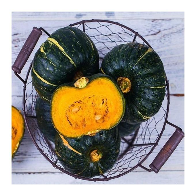 Organic Green Beibei Pumpkin Seeds (Pack of 20 Seeds)